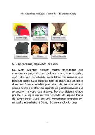 101 maravilhas de Deus, Volume IV – Escriba de Cristo
66
59 - Trepadeiras, maravilhas de Deus.
Na Mata Atlântica existem muitas trepadeiras que
crescem se pegando em qualquer coisa, tronco, galho,
cipó, elas vão espalhando suas folhas de maneira que
possam captar luz a qualquer hora do dia. Cada um use o
dom que Deus concedeu para viver. As trepadeiras têm
caules flexíveis e elas vão laçando as grandes árvores até
alcançarem a copa das árvores. No ecossistema criado
por Deus, é regra um ser vivo depender de alguma forma
de outros seres vivos, em uma monumental engrenagem,
na qual o engenheiro é Deus, não uma evolução cega.
 