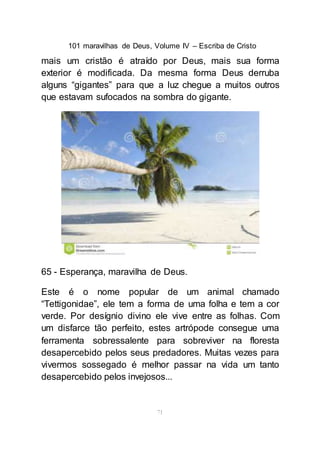 101 maravilhas de Deus, Volume IV – Escriba de Cristo
71
mais um cristão é atraído por Deus, mais sua forma
exterior é modificada. Da mesma forma Deus derruba
alguns “gigantes” para que a luz chegue a muitos outros
que estavam sufocados na sombra do gigante.
65 - Esperança, maravilha de Deus.
Este é o nome popular de um animal chamado
“Tettigonidae”, ele tem a forma de uma folha e tem a cor
verde. Por desígnio divino ele vive entre as folhas. Com
um disfarce tão perfeito, estes artrópode consegue uma
ferramenta sobressalente para sobreviver na floresta
desapercebido pelos seus predadores. Muitas vezes para
vivermos sossegado é melhor passar na vida um tanto
desapercebido pelos invejosos...
 