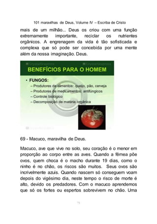 101 maravilhas de Deus, Volume IV – Escriba de Cristo
75
mais de um milhão... Deus os criou com uma função
extremamente importante, reciclar os nutrientes
orgânicos. A engrenagem da vida é tão sofisticada e
complexa que só pode ser concebida por uma mente
além da nossa imaginação. Deus.
69 - Macuco, maravilha de Deus.
Macuco, ave que vive no solo, seu coração é o menor em
proporção ao corpo entre as aves. Quando a fêmea põe
ovos, quem choca é o macho durante 19 dias, como o
ninho é no chão, os riscos são muitos. Seus ovos são
incrivelmente azuis. Quando nascem só conseguem voam
depois do vigésimo dia, neste tempo o risco de morte é
alto, devido os predadores. Com o macuco aprendemos
que só os fortes ou espertos sobrevivem no chão. Uma
 