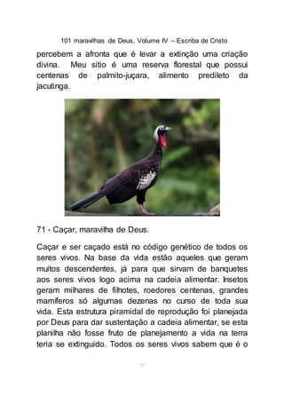 101 maravilhas de Deus, Volume IV – Escriba de Cristo
77
percebem a afronta que é levar a extinção uma criação
divina. Meu sitio é uma reserva florestal que possui
centenas de palmito-juçara, alimento predileto da
jacutinga.
71 - Caçar, maravilha de Deus.
Caçar e ser caçado está no código genético de todos os
seres vivos. Na base da vida estão aqueles que geram
muitos descendentes, já para que sirvam de banquetes
aos seres vivos logo acima na cadeia alimentar. Insetos
geram milhares de filhotes, roedores centenas, grandes
mamíferos só algumas dezenas no curso de toda sua
vida. Esta estrutura piramidal de reprodução foi planejada
por Deus para dar sustentação a cadeia alimentar, se esta
planilha não fosse fruto de planejamento a vida na terra
teria se extinguido. Todos os seres vivos sabem que é o
 