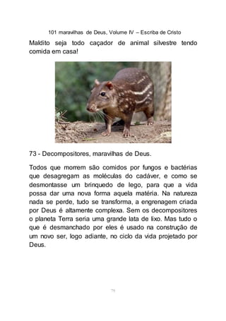 101 maravilhas de Deus, Volume IV – Escriba de Cristo
79
Maldito seja todo caçador de animal silvestre tendo
comida em casa!
73 - Decompositores, maravilhas de Deus.
Todos que morrem são comidos por fungos e bactérias
que desagregam as moléculas do cadáver, e como se
desmontasse um brinquedo de lego, para que a vida
possa dar uma nova forma aquela matéria. Na natureza
nada se perde, tudo se transforma, a engrenagem criada
por Deus é altamente complexa. Sem os decompositores
o planeta Terra seria uma grande lata de lixo. Mas tudo o
que é desmanchado por eles é usado na construção de
um novo ser, logo adiante, no ciclo da vida projetado por
Deus.
 