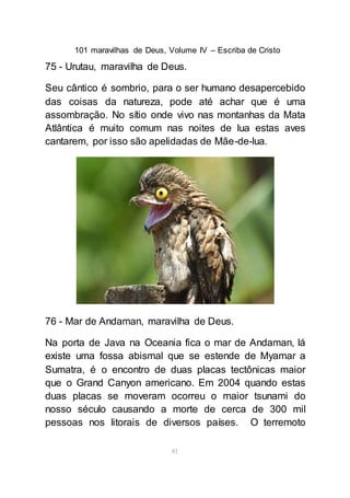 101 maravilhas de Deus, Volume IV – Escriba de Cristo
81
75 - Urutau, maravilha de Deus.
Seu cântico é sombrio, para o ser humano desapercebido
das coisas da natureza, pode até achar que é uma
assombração. No sítio onde vivo nas montanhas da Mata
Atlântica é muito comum nas noites de lua estas aves
cantarem, por isso são apelidadas de Mãe-de-lua.
76 - Mar de Andaman, maravilha de Deus.
Na porta de Java na Oceania fica o mar de Andaman, lá
existe uma fossa abismal que se estende de Myamar a
Sumatra, é o encontro de duas placas tectônicas maior
que o Grand Canyon americano. Em 2004 quando estas
duas placas se moveram ocorreu o maior tsunami do
nosso século causando a morte de cerca de 300 mil
pessoas nos litorais de diversos países. O terremoto
 