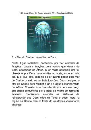 101 maravilhas de Deus, Volume IV – Escriba de Cristo
87
81 - Mar do Caribe, maravilha de Deus,
Neste lugar fantástico, conhecido por ser corredor de
furações, passam furações com ventos que vieram do
leste, aquecidos na África. O ar muito aquecido dali foi
planejado por Deus para resfriar no norte, onde é mais
frio. É ai que esta corrente de ar quente passa pelo mar
do Caribe criando os temíveis furacões. Deus designou o
Mar do Caribe para resfriar o ar e a água oceânica vinda
da África. Contudo esta inversão térmica tem um preço
que chega comumente até o litoral de Miami em forma de
furacões. Precisamos entender os sistemas de
refrigeração que Deus criou na Terra e quem mora na
região do Caribe está na frente de um destes ventiladores
gigantes.
 