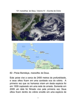 101 maravilhas de Deus, Volume IV – Escriba de Cristo
88
82 - Peixe Barreleye, maravilha de Deus.
Este peixe vive a cerca de 2400 metros de profundidade,
e seus olhos ficam em uma cavidade oca do crânio. A
primeira vez que os humanos viram um desta espécie foi
em 1939 capturado em uma rede de arrasto. Somente em
2009 um dele foi filmado vivo pela primeira vez. Seus
olhos ficam dentro do crânio envolto em uma espécie de
 