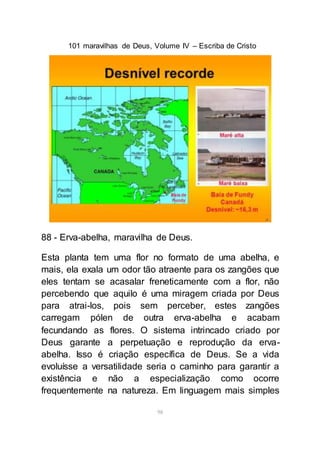 101 maravilhas de Deus, Volume IV – Escriba de Cristo
98
88 - Erva-abelha, maravilha de Deus.
Esta planta tem uma flor no formato de uma abelha, e
mais, ela exala um odor tão atraente para os zangões que
eles tentam se acasalar freneticamente com a flor, não
percebendo que aquilo é uma miragem criada por Deus
para atrai-los, pois sem perceber, estes zangões
carregam pólen de outra erva-abelha e acabam
fecundando as flores. O sistema intrincado criado por
Deus garante a perpetuação e reprodução da erva-
abelha. Isso é criação específica de Deus. Se a vida
evoluísse a versatilidade seria o caminho para garantir a
existência e não a especialização como ocorre
frequentemente na natureza. Em linguagem mais simples
 