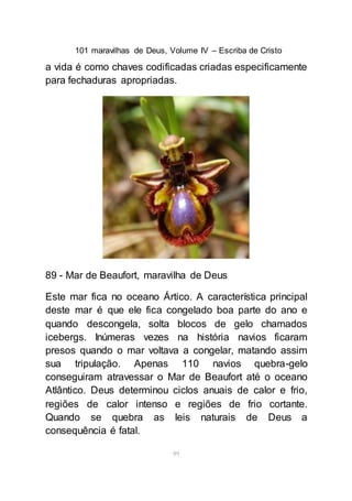 101 maravilhas de Deus, Volume IV – Escriba de Cristo
99
a vida é como chaves codificadas criadas especificamente
para fechaduras apropriadas.
89 - Mar de Beaufort, maravilha de Deus
Este mar fica no oceano Ártico. A característica principal
deste mar é que ele fica congelado boa parte do ano e
quando descongela, solta blocos de gelo chamados
icebergs. Inúmeras vezes na história navios ficaram
presos quando o mar voltava a congelar, matando assim
sua tripulação. Apenas 110 navios quebra-gelo
conseguiram atravessar o Mar de Beaufort até o oceano
Atlântico. Deus determinou ciclos anuais de calor e frio,
regiões de calor intenso e regiões de frio cortante.
Quando se quebra as leis naturais de Deus a
consequência é fatal.
 