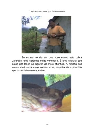 O anjo de quatro patas, por: Escriba Valdemir
Eu estava no dia em que você matou esta cobra
Jararaca, uma serpente muito venenosa. É uma criatura que
estão por todos os lugares da mata atlântica. A maioria das
vezes você deixa estas cobras vivas, respeitando o princípio
que toda criatura merece viver.
[ 100 ]
 