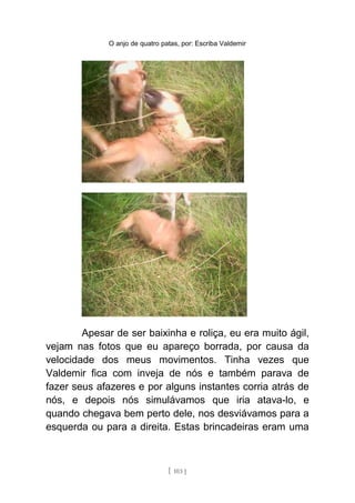O anjo de quatro patas, por: Escriba Valdemir
Apesar de ser baixinha e roliça, eu era muito ágil,
vejam nas fotos que eu apareço borrada, por causa da
velocidade dos meus movimentos. Tinha vezes que
Valdemir fica com inveja de nós e também parava de
fazer seus afazeres e por alguns instantes corria atrás de
nós, e depois nós simulávamos que iria atava-lo, e
quando chegava bem perto dele, nos desviávamos para a
esquerda ou para a direita. Estas brincadeiras eram uma
[ 103 ]
 