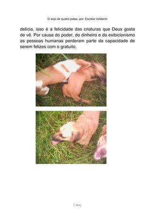 O anjo de quatro patas, por: Escriba Valdemir
delícia, isso é a felicidade das criaturas que Deus gosta
de vê. Por causa do poder, do dinheiro e do exibicionismo
as pessoas humanas perderam parte da capacidade de
serem felizes com o gratuito.
[ 104 ]
 