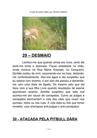 O anjo de quatro patas, por: Escriba Valdemir
29 – DESMAIO
Lembro-me que quando ainda era nova, certo dia
senti-me tonta e desmaiei. Fiquei estatelada no chão,
ainda morava na Rua Maria Graziela, no Casqueiro.
Zenilda cuidou de mim, socorrendo-me na hora, deitando-
me confortavelmente. Deu-me água e ela suspeitou que
eu estava com anemia, e por isso ela passou a alimentar-
me com uma dieta de fígado. Do mesmo jeito que ela
fazia com a sua filha Lívia quando resultados de exame
apontavam anemia. Zenilda suspeitou que este mal
ocorreu-me por causa de carrapatos. Como as pulgas e
carrapatos atormentam a vida dos cães que vivem nos
quintais, sítios ou nas ruas. A vida toda eu tive que tomar
remédio, usar shampoos anti-pulgas e anti-carrapatos.
30 - ATACADA PELA PITBULL DÁRA
[ 105 ]
 