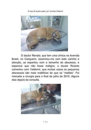 O anjo de quatro patas, por: Escriba Valdemir
O doutor Renato, que tem uma clínica na Avenida
Brasil, no Casqueiro, examinou-me com todo carinho e
atenção, se espantou com o tamanho do abscesso, e
esperava que não fosse maligno, o doutor Ricardo
comentou com Valdemir, que muitas vezes os pequenos
abscessos são mais maléficos do que os “melões”. Foi
marcada a cirurgia para o final de julho de 2015. Alguns
dias depois da consulta.
[ 110 ]
 