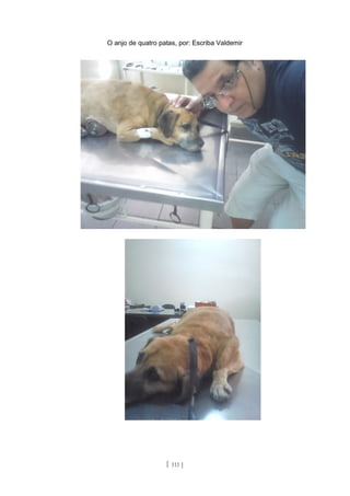 O anjo de quatro patas, por: Escriba Valdemir
[ 111 ]
 