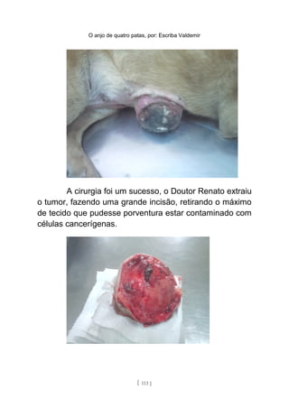 O anjo de quatro patas, por: Escriba Valdemir
A cirurgia foi um sucesso, o Doutor Renato extraiu
o tumor, fazendo uma grande incisão, retirando o máximo
de tecido que pudesse porventura estar contaminado com
células cancerígenas.
[ 113 ]
 
