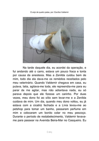O anjo de quatro patas, por: Escriba Valdemir
Na tarde daquele dia, eu acordei da operação, e
fui andando até o carro, estava um pouco fraca e tonta
por causa da anestesia. Mas a Zenilda cuidou bem de
mim, todo dia ela dava-me os remédios receitados pelo
meu veterinário. Quando Valdemir chegava em casa, eu
pulava, latia, agitava-me toda, ele repreendia-me para eu
parar de me agitar, mas não adiantava nada, eu só
parava depois que ele fizesse um carinho. Por duas
vezes, meu dono foi ao sítio sem levar-me e a Zenilda
cuidava de mim. Um dia, quando meu dono voltou, eu já
estava com a cicatriz fechada e a Lívia levou-me ao
petshop para tomar um banho, passaram perfume em
mim e colocaram um bonito colar no meu pescoço.
Durante o período de restabelecimento, Valdemir levava-
me para passear na Avenida Beira-Mar no Casqueiro. Eu
[ 115 ]
 