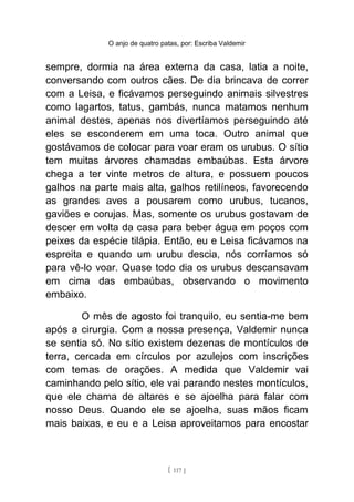 O anjo de quatro patas, por: Escriba Valdemir
sempre, dormia na área externa da casa, latia a noite,
conversando com outros cães. De dia brincava de correr
com a Leisa, e ficávamos perseguindo animais silvestres
como lagartos, tatus, gambás, nunca matamos nenhum
animal destes, apenas nos divertíamos perseguindo até
eles se esconderem em uma toca. Outro animal que
gostávamos de colocar para voar eram os urubus. O sítio
tem muitas árvores chamadas embaúbas. Esta árvore
chega a ter vinte metros de altura, e possuem poucos
galhos na parte mais alta, galhos retilíneos, favorecendo
as grandes aves a pousarem como urubus, tucanos,
gaviões e corujas. Mas, somente os urubus gostavam de
descer em volta da casa para beber água em poços com
peixes da espécie tilápia. Então, eu e Leisa ficávamos na
espreita e quando um urubu descia, nós corríamos só
para vê-lo voar. Quase todo dia os urubus descansavam
em cima das embaúbas, observando o movimento
embaixo.
O mês de agosto foi tranquilo, eu sentia-me bem
após a cirurgia. Com a nossa presença, Valdemir nunca
se sentia só. No sítio existem dezenas de montículos de
terra, cercada em círculos por azulejos com inscrições
com temas de orações. A medida que Valdemir vai
caminhando pelo sítio, ele vai parando nestes montículos,
que ele chama de altares e se ajoelha para falar com
nosso Deus. Quando ele se ajoelha, suas mãos ficam
mais baixas, e eu e a Leisa aproveitamos para encostar
[ 117 ]
 