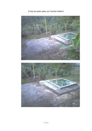 O anjo de quatro patas, por: Escriba Valdemir
[ 120 ]
 