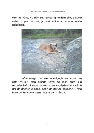 O anjo de quatro patas, por: Escriba Valdemir
com os cães, eu não sei, talvez aprendam sim, alguma
coisa, e por isso só, já terá valido a pena a minha
existência.
- Olá, amigo, meu eterno amigo, lá vem você com
este celular, está tirando fotos de mim para sua
recordação? Já estou morrendo de saudades de você. A
dor da doença é nada, perto da dor da saudade. Estou
triste por ter que encerrar nossa convivência.
[ 122 ]
 