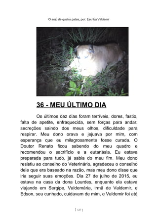 O anjo de quatro patas, por: Escriba Valdemir
36 - MEU ÚLTIMO DIA
Os últimos dez dias foram terríveis, dores, fastio,
falta de apetite, enfraquecida, sem forças para andar,
secreções saindo dos meus olhos, dificuldade para
respirar. Meu dono orava e jejuava por mim, com
esperança que eu milagrosamente fosse curada. O
Doutor Renato ficou sabendo do meu quadro e
recomendou o sacrifício e a eutanásia. Eu estava
preparada para tudo, já sabia do meu fim. Meu dono
resistiu ao conselho do Veterinário, agradeceu o conselho
dele que era baseado na razão, mas meu dono disse que
iria seguir suas emoções. Dia 27 de julho de 2015, eu
estava na casa da dona Lourdes, enquanto ela estava
viajando em Sergipe, Valdemária, irmã de Valdemir, e
Edson, seu cunhado, cuidavam de mim, e Valdemir foi até
[ 127 ]
 