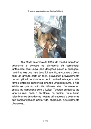 O anjo de quatro patas, por: Escriba Valdemir
Dia 28 de setembro de 2015, de manhã meu dono
pegou-me e colocou na carroceria da camioneta,
juntamente com Leisa, pois desgraça pouco é bobagem,
na última vez que meu dono foi ao sítio, encontrou a Leisa
com um grande corte na face, provocada provavelmente
por um pitbull do vizinho, ou outro animal selvagem. Nós
fomos juntas na camioneta olhando uma para outra, e nós
sabíamos que eu não iria retornar viva. Enquanto eu
estava na carroceria com a Leisa, Teocron sentou-se ao
lado do meu dono e do Daniel na cabine. Eu e Leisa
relembramos de todas as nossas brincadeiras e aventuras
que compartilhamos nesta vida, choramos, discretamente
choramos...
[ 130 ]
 