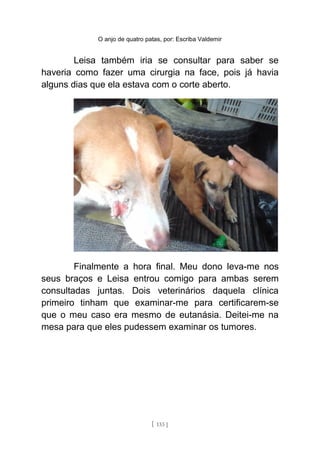 O anjo de quatro patas, por: Escriba Valdemir
Leisa também iria se consultar para saber se
haveria como fazer uma cirurgia na face, pois já havia
alguns dias que ela estava com o corte aberto.
Finalmente a hora final. Meu dono leva-me nos
seus braços e Leisa entrou comigo para ambas serem
consultadas juntas. Dois veterinários daquela clínica
primeiro tinham que examinar-me para certificarem-se
que o meu caso era mesmo de eutanásia. Deitei-me na
mesa para que eles pudessem examinar os tumores.
[ 133 ]
 