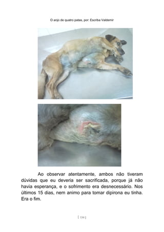 O anjo de quatro patas, por: Escriba Valdemir
Ao observar atentamente, ambos não tiveram
dúvidas que eu deveria ser sacrificada, porque já não
havia esperança, e o sofrimento era desnecessário. Nos
últimos 15 dias, nem animo para tomar dipirona eu tinha.
Era o fim.
[ 134 ]
 