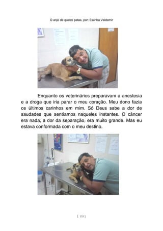 O anjo de quatro patas, por: Escriba Valdemir
Enquanto os veterinários preparavam a anestesia
e a droga que iria parar o meu coração. Meu dono fazia
os últimos carinhos em mim. Só Deus sabe a dor de
saudades que sentíamos naqueles instantes. O câncer
era nada, a dor da separação, era muito grande. Mas eu
estava conformada com o meu destino.
[ 135 ]
 