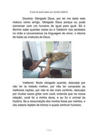 O anjo de quatro patas, por: Escriba Valdemir
Doutora: Obrigado Deus, por ter me dado este
maluco como amigo. Obrigado Deus porque eu pude
conversar com um humano de igual para igual. Só o
Senhor sabe quantas vezes eu e Valdemir nos sentados
no chão e conversamos na linguagem do amor, o idioma
de todas as criaturas de Deus.
Valdemir: Muito obrigado querida, desculpe por
não ter te tratado melhor, por não ter comprado as
melhores rações, por não te dar mais conforto, desculpe
por muitas vezes gritar com você, entenda que na nossa
relação, você foi a minha dona, e eu fui o animal da
história. Se a ressurreição dos mortos fosse por méritos, o
céu estaria repleto de bichos e quase nenhum humano.
[ 136 ]
 