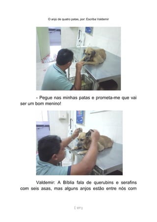 O anjo de quatro patas, por: Escriba Valdemir
- Pegue nas minhas patas e prometa-me que vai
ser um bom menino!
Valdemir: A Bíblia fala de querubins e serafins
com seis asas, mas alguns anjos estão entre nós com
[ 137 ]
 