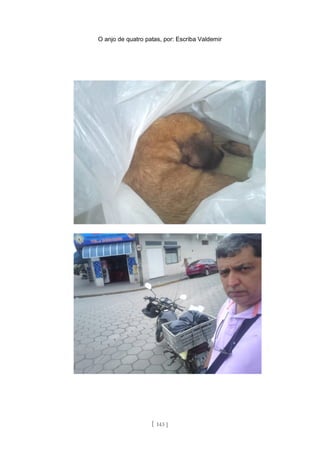 O anjo de quatro patas, por: Escriba Valdemir
[ 143 ]
 