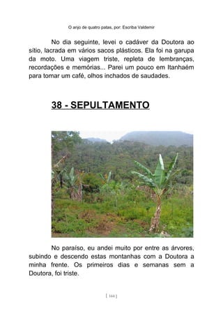 O anjo de quatro patas, por: Escriba Valdemir
No dia seguinte, levei o cadáver da Doutora ao
sítio, lacrada em vários sacos plásticos. Ela foi na garupa
da moto. Uma viagem triste, repleta de lembranças,
recordações e memórias... Parei um pouco em Itanhaém
para tomar um café, olhos inchados de saudades.
38 - SEPULTAMENTO
No paraíso, eu andei muito por entre as árvores,
subindo e descendo estas montanhas com a Doutora a
minha frente. Os primeiros dias e semanas sem a
Doutora, foi triste.
[ 144 ]
 