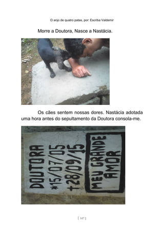 O anjo de quatro patas, por: Escriba Valdemir
Morre a Doutora, Nasce a Nastácia.
Os cães sentem nossas dores. Nastácia adotada
uma hora antes do sepultamento da Doutora consola-me.
[ 147 ]
 