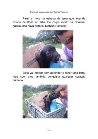 O anjo de quatro patas, por: Escriba Valdemir
Parei a moto na estrada de terra que leva da
cidade de Itariri ao sítio. Do corpo morto da Doutora,
nascia uma nova história. NANA! (Nastácia)
Essa vai morrer sem aprender a fazer uma letra,
mas com uma lambida conquista qualquer coração
humano.
[ 150 ]
 
