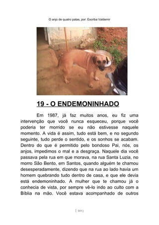 O anjo de quatro patas, por: Escriba Valdemir
19 - O ENDEMONINHADO
Em 1987, já faz muitos anos, eu fiz uma
intervenção que você nunca esqueceu, porque você
poderia ter morrido se eu não estivesse naquele
momento. A vida é assim, tudo está bem, e no segundo
seguinte, tudo perde o sentido, e os sonhos se acabam.
Dentro do que é permitido pelo bondoso Pai, nós, os
anjos, impedimos o mal e a desgraça. Naquele dia você
passava pela rua em que morava, na rua Santa Luzia, no
morro São Bento, em Santos, quando alguém te chamou
desesperadamente, dizendo que na rua ao lado havia um
homem quebrando tudo dentro de casa, e que ele devia
está endemoninhado. A mulher que te chamou já o
conhecia de vista, por sempre vê-lo indo ao culto com a
Bíblia na mão. Você estava acompanhado de outros
[ 169 ]
 