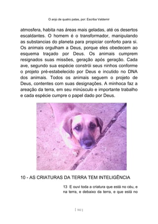 O anjo de quatro patas, por: Escriba Valdemir
atmosfera, habita nas áreas mais geladas, até os desertos
escaldantes. O homem é o transformador, manipulando
as substancias do planeta para propiciar conforto para si.
Os animais orgulham a Deus, porque eles obedecem ao
esquema traçado por Deus. Os animais cumprem
resignados suas missões, geração após geração. Cada
ave, segundo sua espécie constrói seus ninhos conforme
o projeto pré-estabelecido por Deus e incutido no DNA
dos animais. Todos os animais seguem o projeto de
Deus, contentes com suas designações. A minhoca faz a
areação da terra, em seu minúsculo e importante trabalho
e cada espécie cumpre o papel dado por Deus.
10 - AS CRIATURAS DA TERRA TEM INTELIGÊNCIA
13 E ouvi toda a criatura que está no céu, e
na terra, e debaixo da terra, e que está no
[ 182 ]
 
