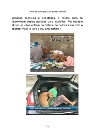 O anjo de quatro patas, por: Escriba Valdemir
pessoas sensíveis e debilitadas, e muitos cães se
aproximam destas pessoas para ajuda-las. Por designo
divino os cães entram na história de pessoas em todo o
mundo. Você já teve o seu anjo-canino?
[ 200 ]
 
