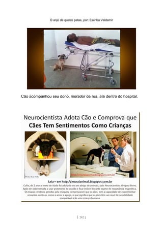 O anjo de quatro patas, por: Escriba Valdemir
Cão acompanhou seu dono, morador de rua, até dentro do hospital.
[ 202 ]
 