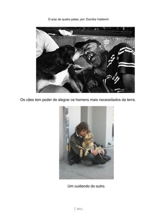 O anjo de quatro patas, por: Escriba Valdemir
Os cães tem poder de alegrar os homens mais necessitados da terra.
Um cuidando do outro.
[ 204 ]
 