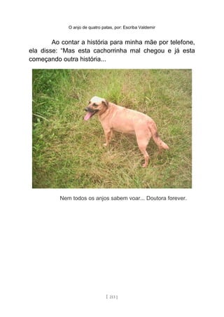 O anjo de quatro patas, por: Escriba Valdemir
Ao contar a história para minha mãe por telefone,
ela disse: “Mas esta cachorrinha mal chegou e já esta
começando outra história...
Nem todos os anjos sabem voar... Doutora forever.
[ 213 ]
 