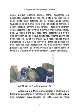 O anjo de quatro patas, por: Escriba Valdemir
deles, porque quando damos nome, acabamos se
apegando. Querendo ou não, foi muito difícil doa-los, e
seria muito mais doloroso se eu tivesse dado nome.
Quando você dá nome, meio que faz parte da família, e
assim acabam entrando na família. Procurava chamar
estes cãezinhos de fofinhos, bolinhas, mas nome, nome,
não. Eu deixei para que cada dono escolhesse o nome
que deveriam dar aos seus cãezinhos. Mesmo assim, foi
difícil doa-los, eu chorei muito. Eu acabei ficando muito
agradecida a Deus e ao universo, agradeço porque as
sete pessoas que apareceram no meu caminho foram
pessoas do bem. Eu tenho certeza que assim como a
Mille, e a Doutora, os demais também tiveram bons lares.
A infância da Doutora (áudio 12).
A Doutora e a Mille eram espertas e gostavam de
furar a fila para tomar a mamadeira de leite, muitas vezes
elas tomavam duas rodadas de leite, eram as mais
[ 27 ]
 