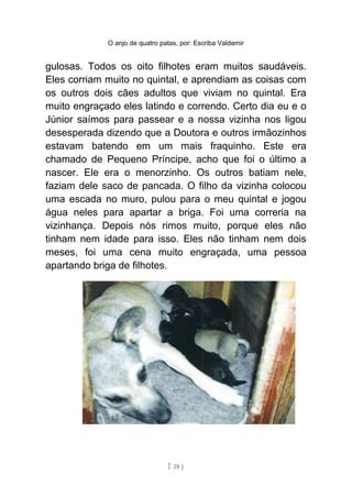 O anjo de quatro patas, por: Escriba Valdemir
gulosas. Todos os oito filhotes eram muitos saudáveis.
Eles corriam muito no quintal, e aprendiam as coisas com
os outros dois cães adultos que viviam no quintal. Era
muito engraçado eles latindo e correndo. Certo dia eu e o
Júnior saímos para passear e a nossa vizinha nos ligou
desesperada dizendo que a Doutora e outros irmãozinhos
estavam batendo em um mais fraquinho. Este era
chamado de Pequeno Príncipe, acho que foi o último a
nascer. Ele era o menorzinho. Os outros batiam nele,
faziam dele saco de pancada. O filho da vizinha colocou
uma escada no muro, pulou para o meu quintal e jogou
água neles para apartar a briga. Foi uma correria na
vizinhança. Depois nós rimos muito, porque eles não
tinham nem idade para isso. Eles não tinham nem dois
meses, foi uma cena muito engraçada, uma pessoa
apartando briga de filhotes.
[ 28 ]
 