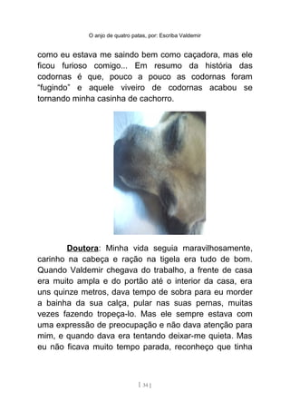 O anjo de quatro patas, por: Escriba Valdemir
como eu estava me saindo bem como caçadora, mas ele
ficou furioso comigo... Em resumo da história das
codornas é que, pouco a pouco as codornas foram
“fugindo” e aquele viveiro de codornas acabou se
tornando minha casinha de cachorro.
Doutora: Minha vida seguia maravilhosamente,
carinho na cabeça e ração na tigela era tudo de bom.
Quando Valdemir chegava do trabalho, a frente de casa
era muito ampla e do portão até o interior da casa, era
uns quinze metros, dava tempo de sobra para eu morder
a bainha da sua calça, pular nas suas pernas, muitas
vezes fazendo tropeça-lo. Mas ele sempre estava com
uma expressão de preocupação e não dava atenção para
mim, e quando dava era tentando deixar-me quieta. Mas
eu não ficava muito tempo parada, reconheço que tinha
[ 34 ]
 