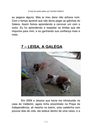 O anjo de quatro patas, por: Escriba Valdemir
eu pegava alguns. Mas ai meu dono não achava ruim.
Com o tempo aprendi que não devia pegar as galinhas do
Galera. Assim fomos aprendendo a conviver um com o
outro. Eu fui aprendendo a respeitar os limites que ele
impunha para mim, e eu ganhando sua confiança mais e
mais.
7 – LEISA, A GALEGA
Em 2006 a Jéssica que havia me introduzido na
casa do Valdemir, agora tinha encontrado na Praça da
Independência, ali mesmo no bairro, uma cadelinha com
poucos dias de vida, ela estava dentro de uma caixa, e a
[ 40 ]
 