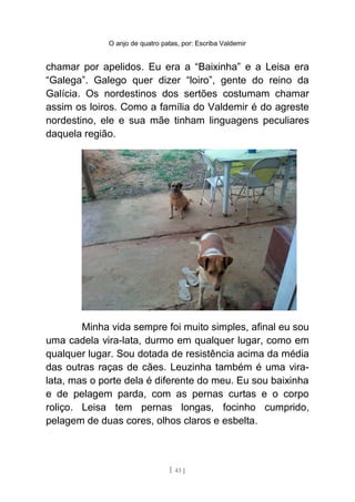 O anjo de quatro patas, por: Escriba Valdemir
chamar por apelidos. Eu era a “Baixinha” e a Leisa era
“Galega”. Galego quer dizer “loiro”, gente do reino da
Galícia. Os nordestinos dos sertões costumam chamar
assim os loiros. Como a família do Valdemir é do agreste
nordestino, ele e sua mãe tinham linguagens peculiares
daquela região.
Minha vida sempre foi muito simples, afinal eu sou
uma cadela vira-lata, durmo em qualquer lugar, como em
qualquer lugar. Sou dotada de resistência acima da média
das outras raças de cães. Leuzinha também é uma vira-
lata, mas o porte dela é diferente do meu. Eu sou baixinha
e de pelagem parda, com as pernas curtas e o corpo
roliço. Leisa tem pernas longas, focinho cumprido,
pelagem de duas cores, olhos claros e esbelta.
[ 43 ]
 