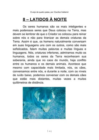 O anjo de quatro patas, por: Escriba Valdemir
8 – LATIDOS À NOITE
Os seres humanos são os mais inteligentes e
mais poderosos seres que Deus colocou na Terra, mas
devem se lembrar de que o Criador os colocou para reinar
sobre nós e não para tiranizar as demais criaturas da
Terra. Assim é que, os homens naturalmente conversam
em suas linguagens uns com os outros, como são mais
sofisticados, falam muitas palavras e muitas línguas e
linguagens. Nós, criaturas inferiores, admiramos muito os
humanos, todos os seres da Terra reconhecem sua
soberania, ainda que no caos do mundo, haja conflito
entre os humanos e os demais animais. Acontece que
mesmo com capacidade mais limitada, nós, os cães,
conversamos entre nós, e durante a noite, com os níveis
de ruído baixo, podemos conversar com os demais cães
que estão mais distantes, muitas vezes a muitos
quilômetros de distância.
[ 44 ]
 