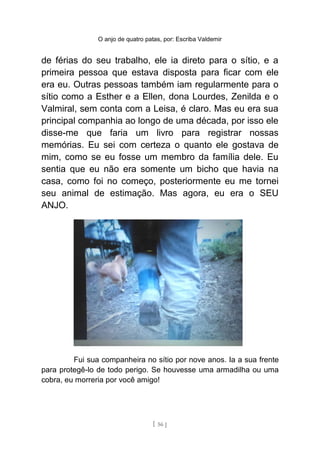 O anjo de quatro patas, por: Escriba Valdemir
de férias do seu trabalho, ele ia direto para o sítio, e a
primeira pessoa que estava disposta para ficar com ele
era eu. Outras pessoas também iam regularmente para o
sítio como a Esther e a Ellen, dona Lourdes, Zenilda e o
Valmiral, sem conta com a Leisa, é claro. Mas eu era sua
principal companhia ao longo de uma década, por isso ele
disse-me que faria um livro para registrar nossas
memórias. Eu sei com certeza o quanto ele gostava de
mim, como se eu fosse um membro da família dele. Eu
sentia que eu não era somente um bicho que havia na
casa, como foi no começo, posteriormente eu me tornei
seu animal de estimação. Mas agora, eu era o SEU
ANJO.
Fui sua companheira no sítio por nove anos. Ia a sua frente
para protegê-lo de todo perigo. Se houvesse uma armadilha ou uma
cobra, eu morreria por você amigo!
[ 56 ]
 