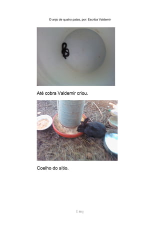 O anjo de quatro patas, por: Escriba Valdemir
Até cobra Valdemir criou.
Coelho do sítio.
[ 58 ]
 