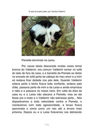 O anjo de quatro patas, por: Escriba Valdemir
Pamella dormindo na cama.
Por causa desta descarada muitas vezes tomei
bronca do Valdemir, era comum Valdemir sentar no sofá
do lado de fora da casa, e a bandida da Pamela se deitar
no encosto do sofá perto da cabeça do meu amor e a mim
só restava ficar deitada nos pés dele. Quando Valdemir
estava perto a bicha ficava toda confiante, andava pelo
chão, passava perto de mim e da Leisa e ainda empinava
o rabo e o passava no nosso nariz. Em volta da área da
casa eu e a Leisa não atacava a Pamela, mas se ela
fosse pra o mato e o Valdemir não estivesse perto... Nós
disparávamos a toda velocidade contra a Pamela, e
rosnávamos com toda agressividade, a bruxa ficava
apavorada e corria como um raio até a árvore mais
próxima. Depois eu e a Leisa ficávamos nos deliciando
[ 64 ]
 