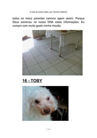 O anjo de quatro patas, por: Escriba Valdemir
todos os meus parentes caninos agem assim. Porque
Deus escreveu no nosso DNA estas informações. Eu
cumpro com muito gosto minha missão.
16 - TOBY
[ 68 ]
 