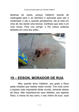O anjo de quatro patas, por: Escriba Valdemir
dezenas de vezes, porque Valdemir acorda de
madrugada para ir ao banheiro e aproveita para sair e
contemplar o céu e quando percebemos, ele já está em
cima de nós dando uma bronca. Confesso que este é um
vício nosso. Para nos corrigir, o Pai coloca cadeiras
deitadas em cima dos sofás...
19 – EDSON, MORADOR DE RUA
Meu querido dono Valdemir, sou grata a Deus
pelas missões que realizei neste mundo. Tive você como
a pessoa mais importante deste mundo, somente abaixo
de Deus. Não importava-me seus defeitos, seu aspecto
físico, a marca do seu carro, o seu cheiro de suor, suas
[ 74 ]
 