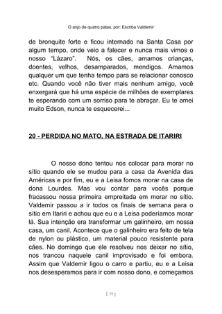 O anjo de quatro patas, por: Escriba Valdemir
de bronquite forte e ficou internado na Santa Casa por
algum tempo, onde veio a falecer e nunca mais vimos o
nosso “Lázaro”. Nós, os cães, amamos crianças,
doentes, velhos, desamparados, mendigos. Amamos
qualquer um que tenha tempo para se relacionar conosco
etc. Quando você não tiver mais nenhum amigo, você
enxergará que há uma espécie de milhões de exemplares
te esperando com um sorriso para te abraçar. Eu te amei
muito Edson, nunca te esquecerei...
20 - PERDIDA NO MATO, NA ESTRADA DE ITARIRI
O nosso dono tentou nos colocar para morar no
sítio quando ele se mudou para a casa da Avenida das
Américas e por fim, eu e a Leisa fomos morar na casa de
dona Lourdes. Mas vou contar para vocês porque
fracassou nossa primeira empreitada em morar no sítio.
Valdemir passou a ir todos os finais de semana para o
sítio em Itariri e achou que eu e a Leisa poderíamos morar
lá. Sua intenção era transformar um galinheiro, em nossa
casa, um canil. Acontece que o galinheiro era feito de tela
de nylon ou plástico, um material pouco resistente para
cães. No domingo que ele resolveu nos deixar no sítio,
nos trancou naquele canil improvisado e foi embora.
Assim que Valdemir ligou o carro e partiu, eu e a Leisa
nos desesperamos para ir com nosso dono, e começamos
[ 77 ]
 
